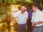 Karakoçan Bal Festivalinde yarışmaya katılan ballardan bir görüntü Bienenstöcke